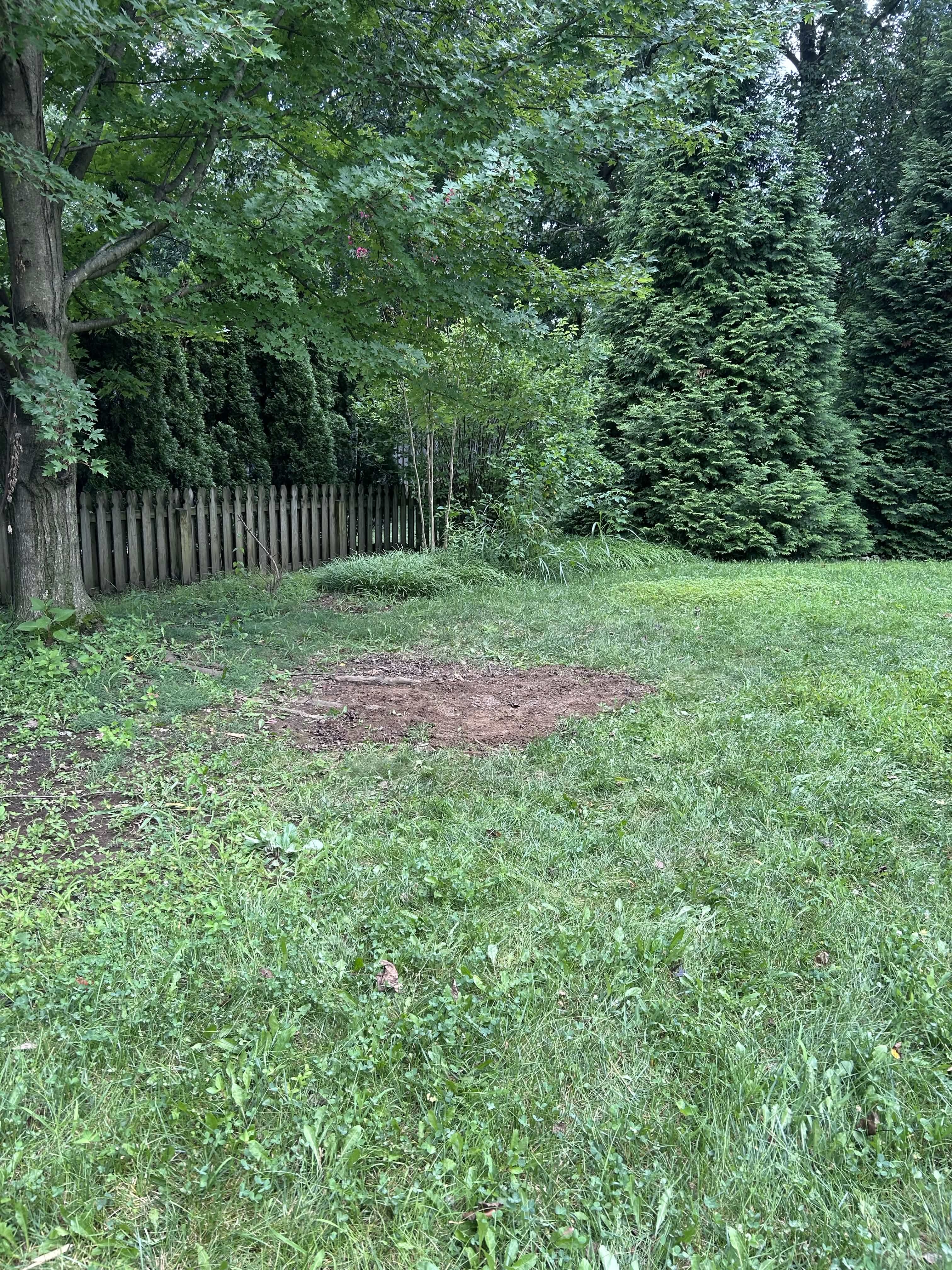 After — Old playground → Open play area
